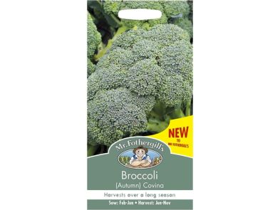 Broccoli (autumn) 'Covina' Seeds