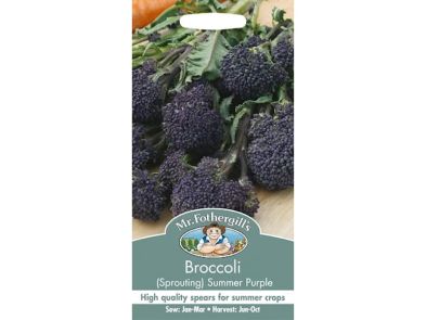 Broccoli 'Summer Purple Sprouting' Seeds