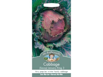 Cabbage (savoy) 'January King 3' Seeds