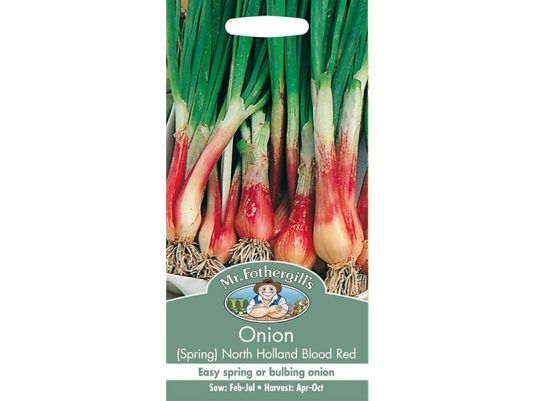 Spring Onion 'North Holland Blood Red' Seeds