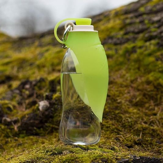Portable Leaf Travel Water Bottle