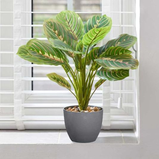 Prayer Plant Artificial Potted Plant
