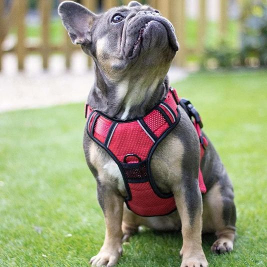 Reflective Dog Harness Red - Small