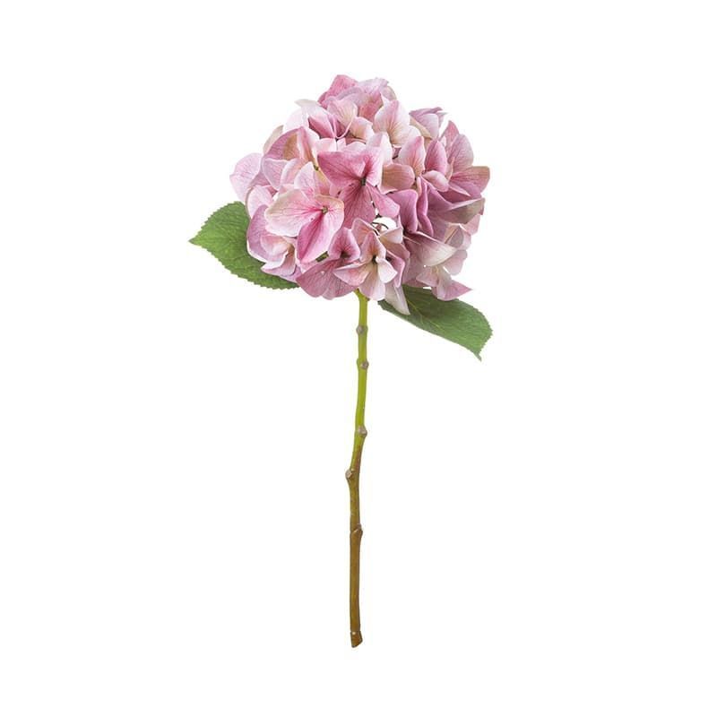 Hydrangea Stem - Pink