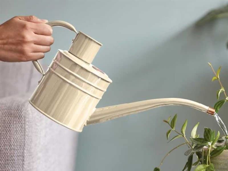 1L WATERING CAN
