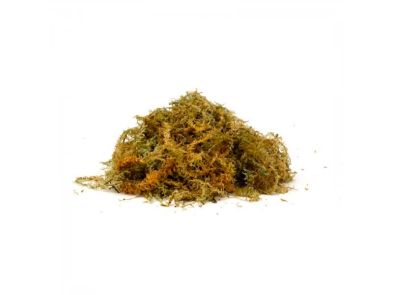 Jumbo Sphagnum Moss