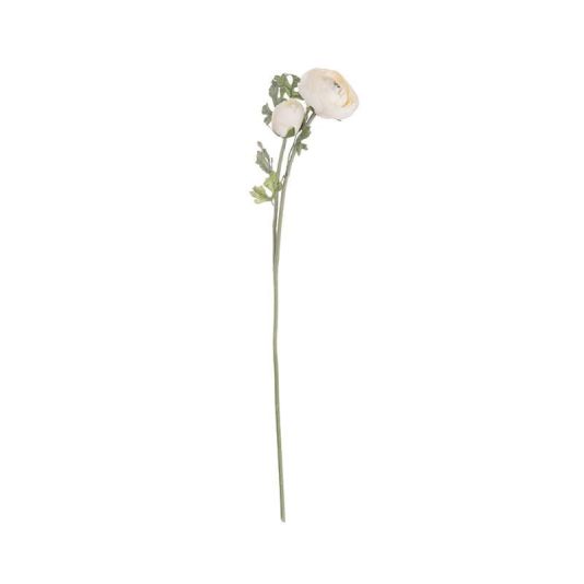 Ranunculus Stem in Soft Cream