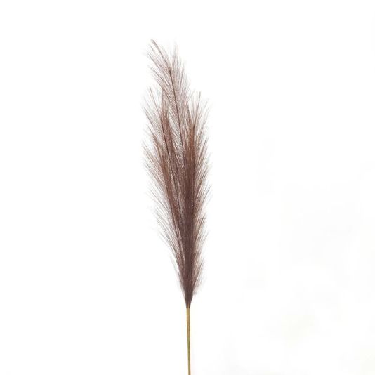 Pampas Grass Stem in Taupe - Small