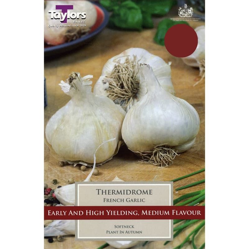 Thermidrome French Garlic