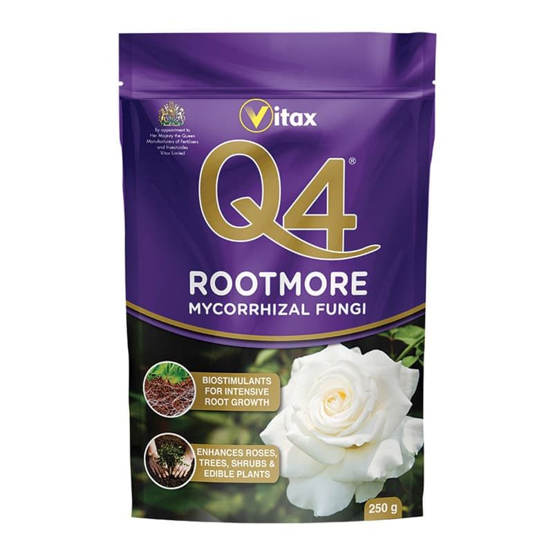 Q4 Rootmore 250G Pouch