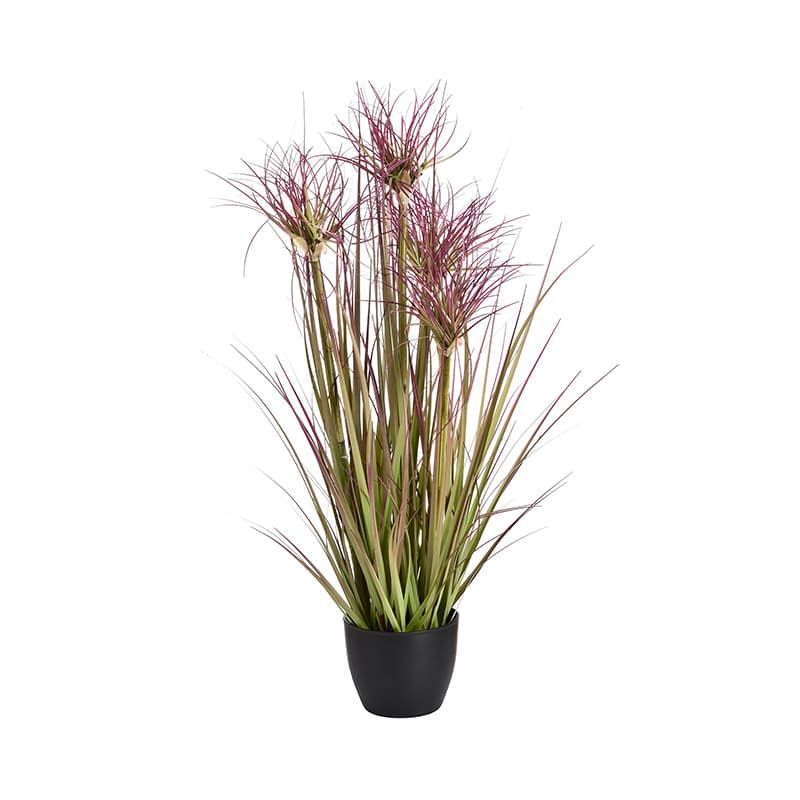Water Bamboo Grass Potted 24 Inch