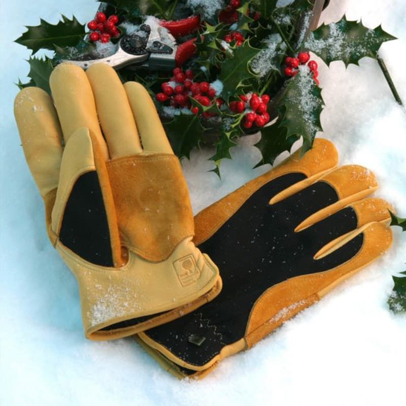 Winter Touch Gloves - Gents