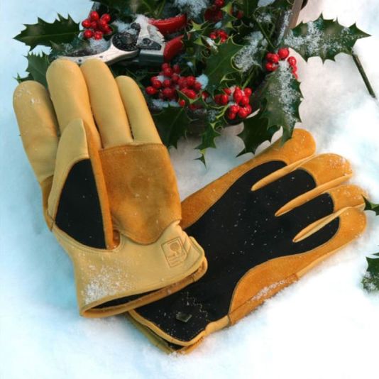 Winter Touch Gloves - Ladies