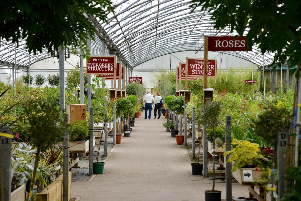Plants for Sale at Tates Garden Centre