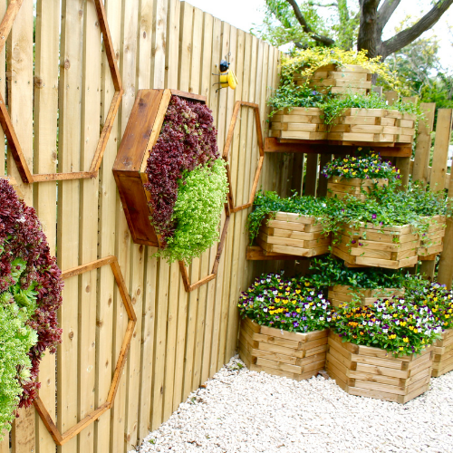 The living wall and corner feature in bloom