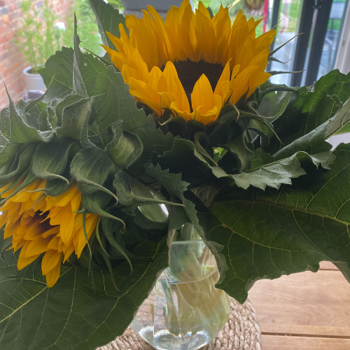 Cut sunflowers, cosmos and cornflowers decorate the house
