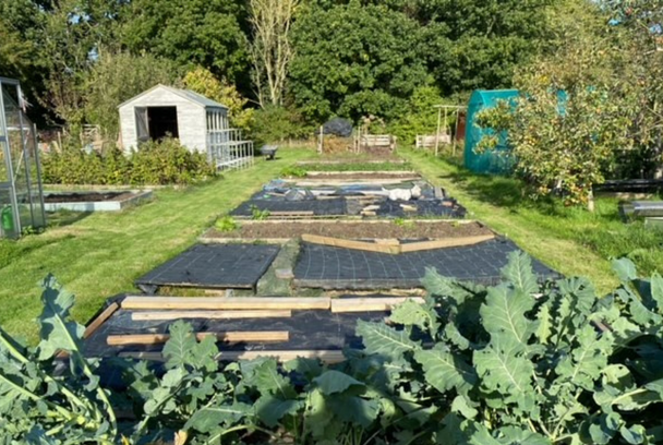October on the allotment