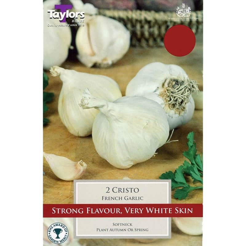 Garlic Cristo Best Selling Garlic Variety