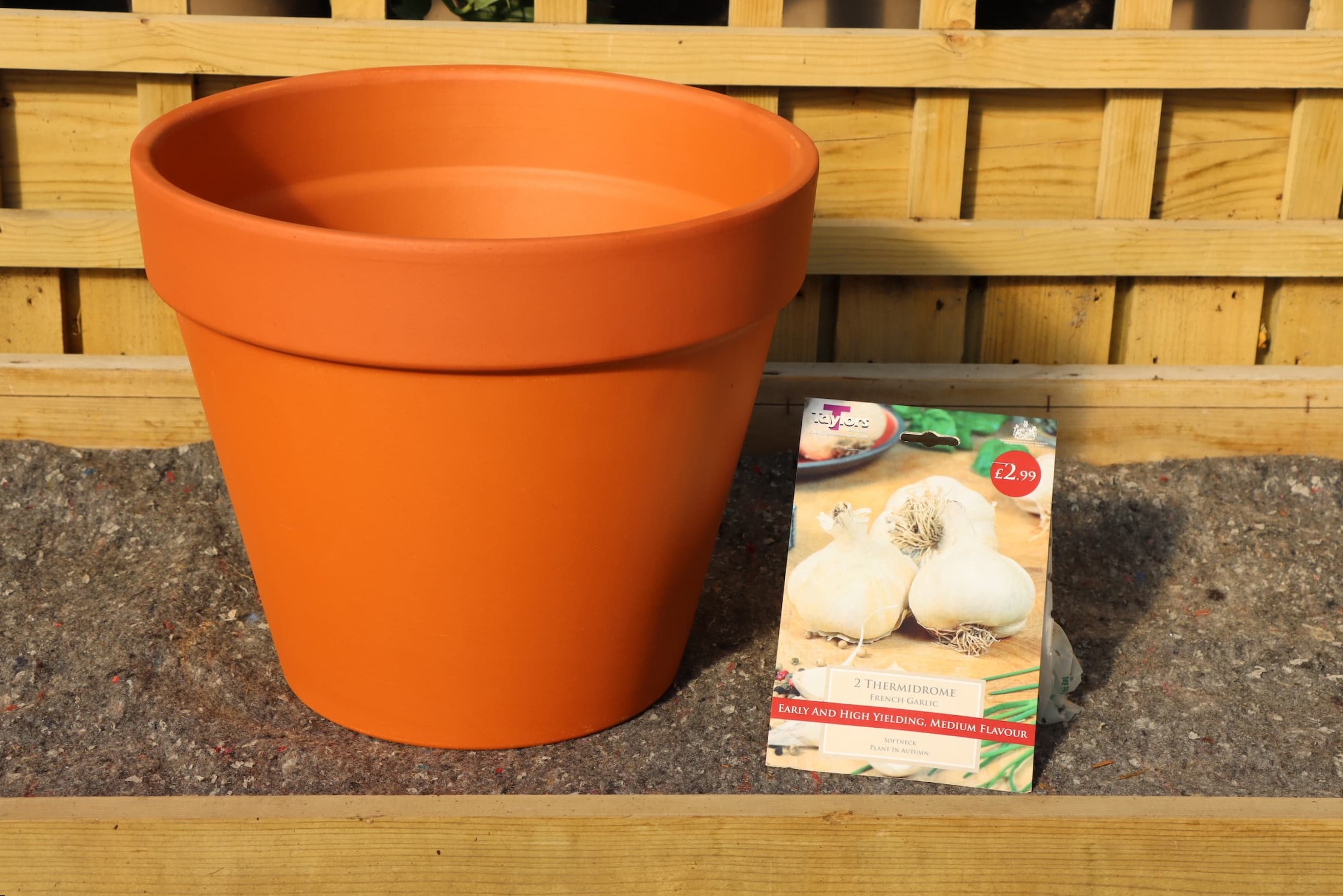 Growing Garlic in a Container