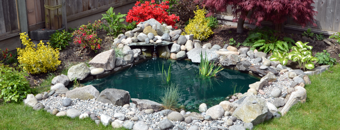 Ponds are a fantastic ornamental addition to any garden