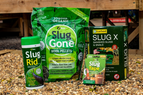 There are several effective methods for controlling slugs in your garden