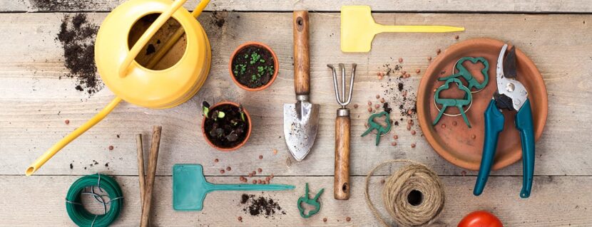 Gardening Tools and Maintenance