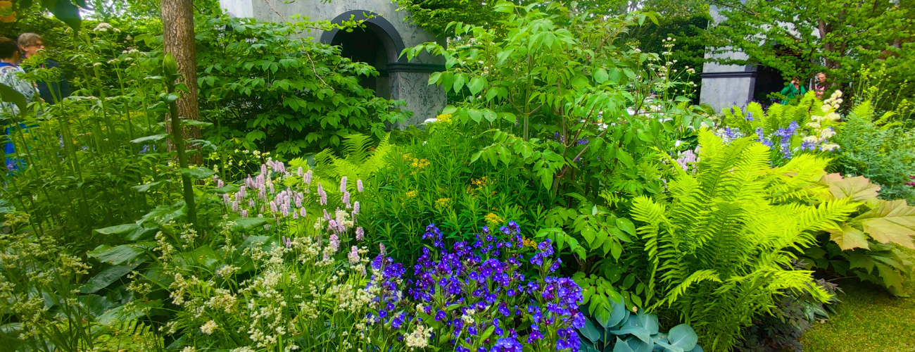 Myeloma UK – A Life Worth Living Garden