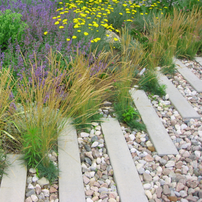 Alternatives to grass include a drought tolerant planted bed, a gravel garden or permeable paving.