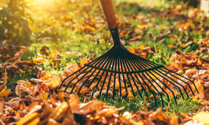 Keep raking leaves off your lawn