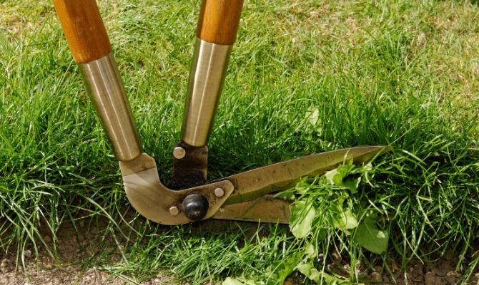 Use a lawn edging tool to neaten up the edge
