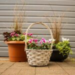 Autumn Winter planted containers
