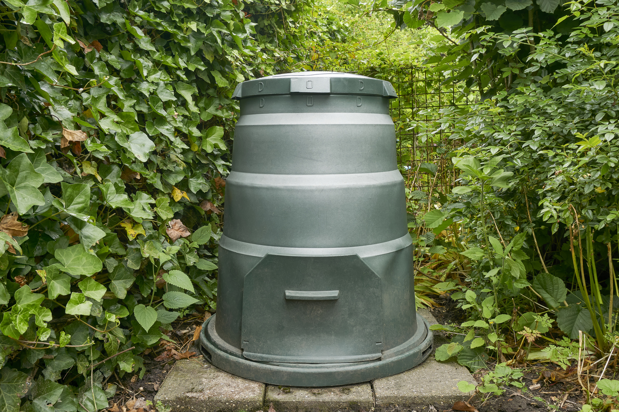 Green compost bin in a garden