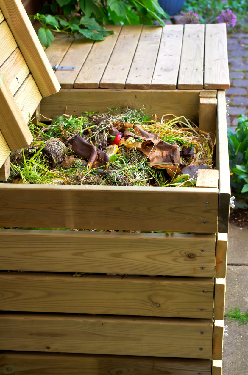 Compost in wooden box