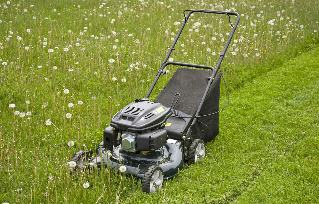 Mowing the grass...
